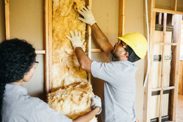 Eco-Friendly or Green Insulation Solutions in Tanque Verde, AZ